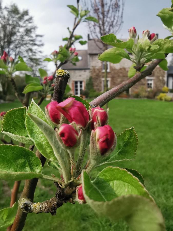 나무르 La Majolique B&B 외부 사진